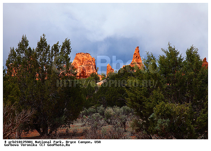 �����-������, ������������ ����, ���, ���