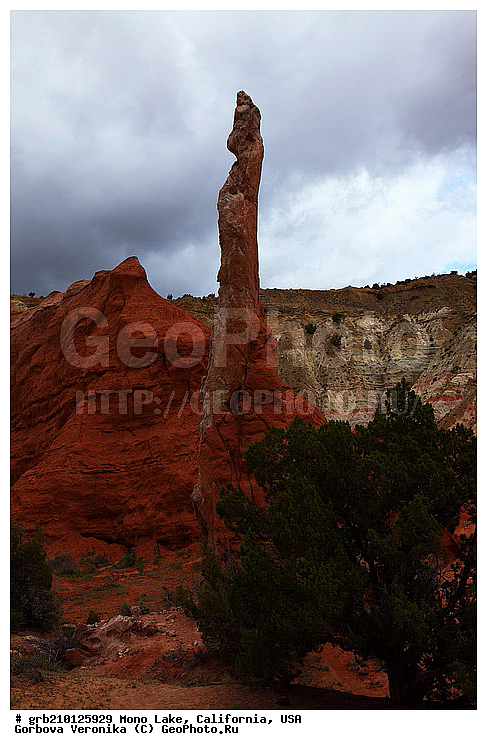 ����������, ����� ����