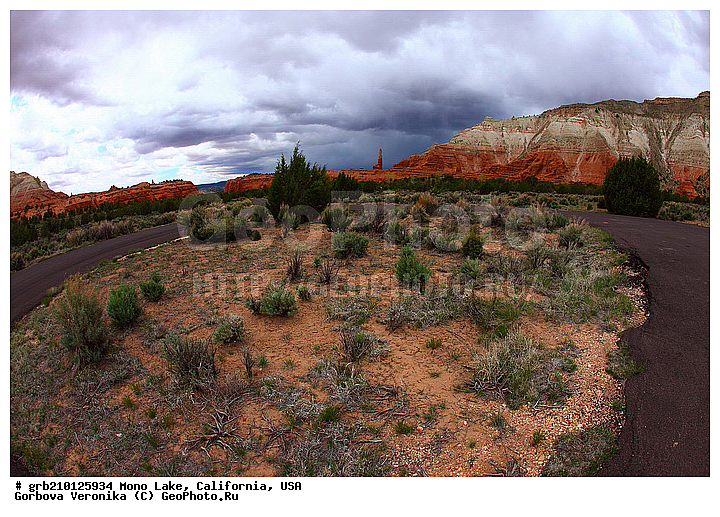 ����������, ����� ����