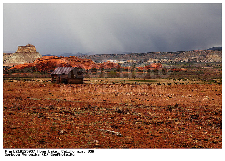 ����������, ����� ����