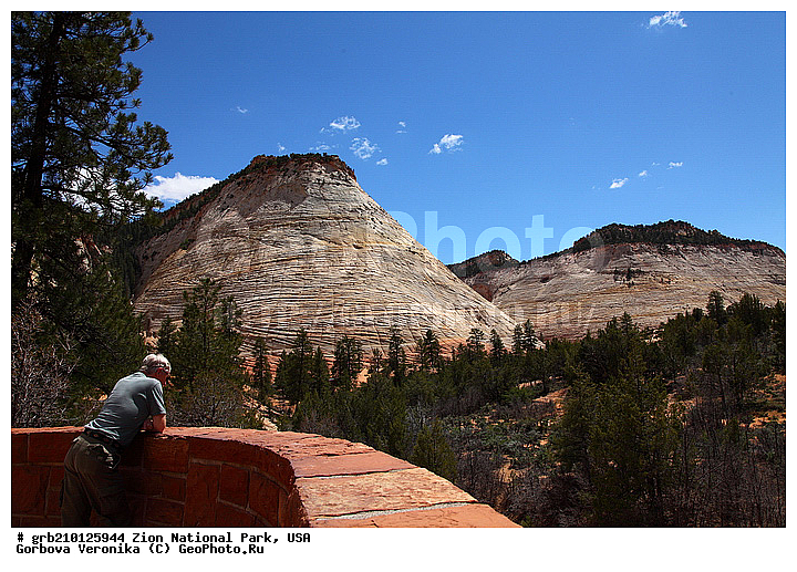 ������������ ���� �����, ���, ���