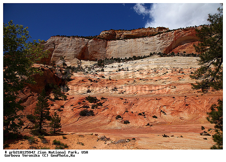 ������������ ���� �����, ���, ���