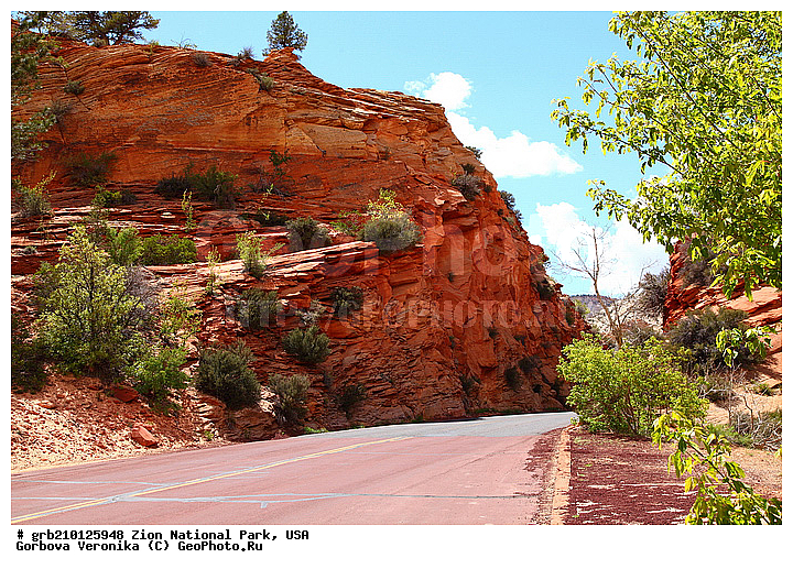 ������������ ���� �����, ���, ���