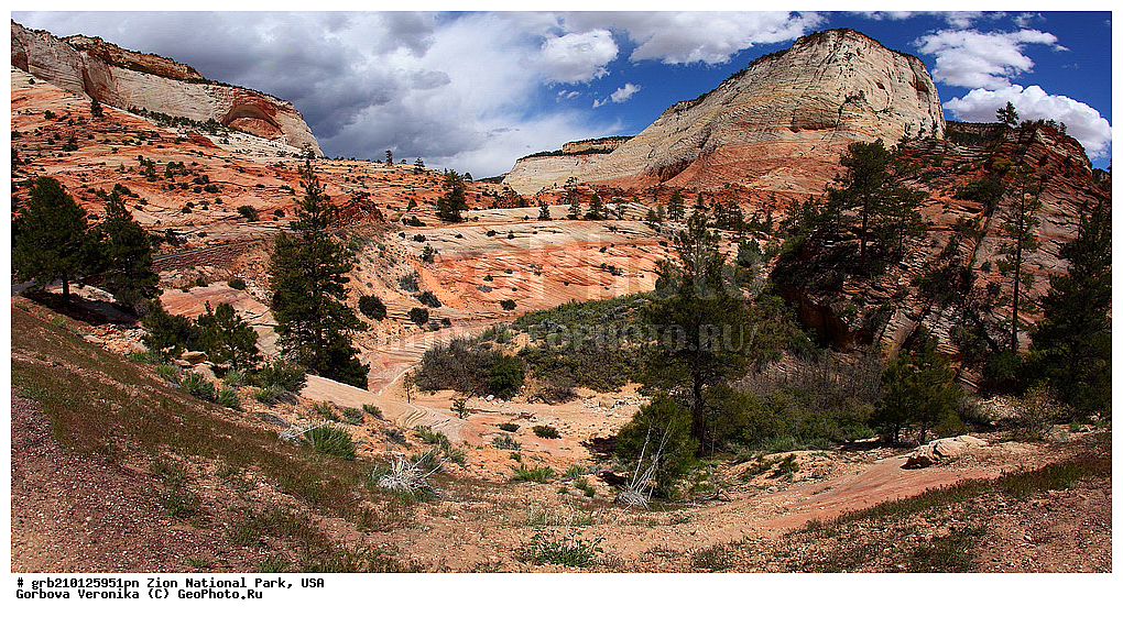 ������������ ���� �����, ���, ���