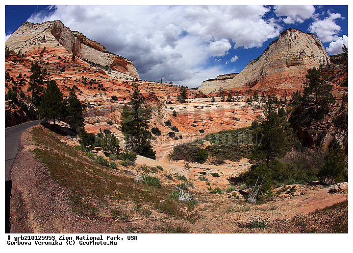 ������������ ���� �����, ���, ���