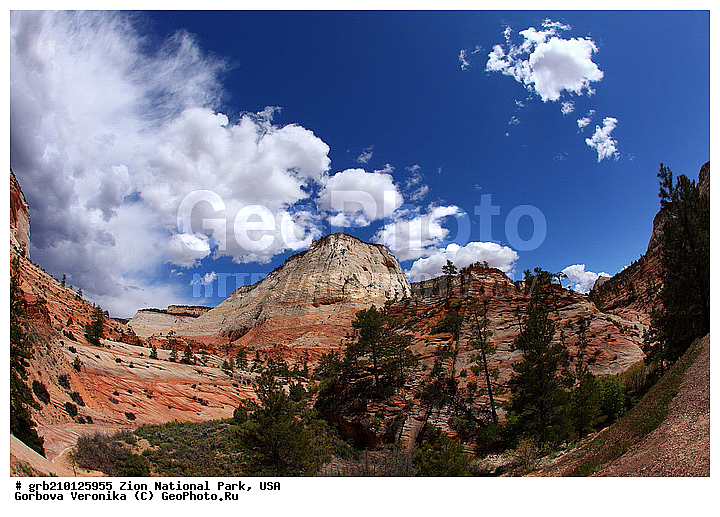 ������������ ���� �����, ���, ���