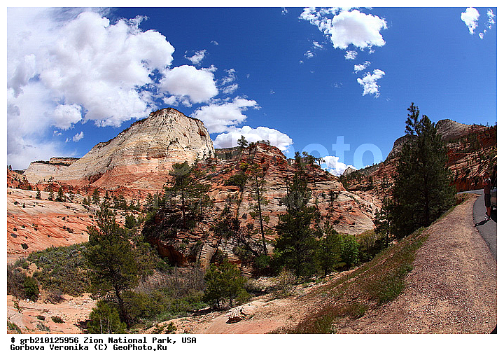 ������������ ���� �����, ���, ���