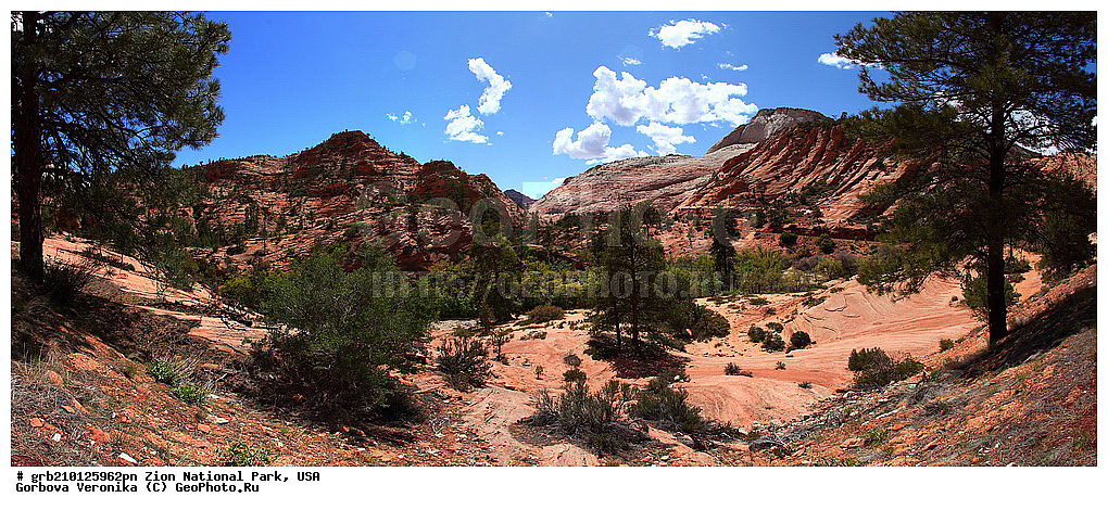 ������������ ���� �����, ���, ���