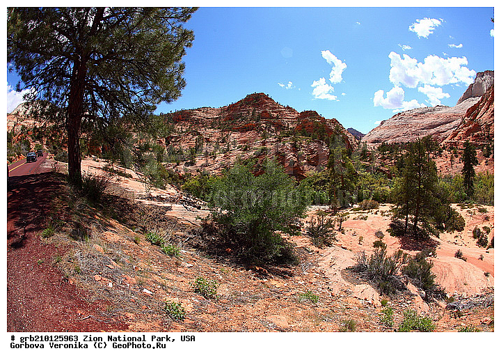 ������������ ���� �����, ���, ���