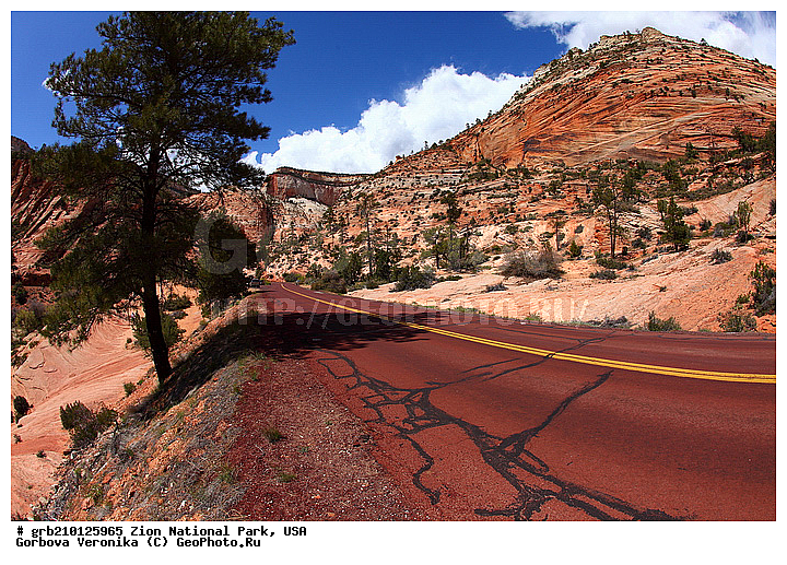 ������������ ���� �����, ���, ���