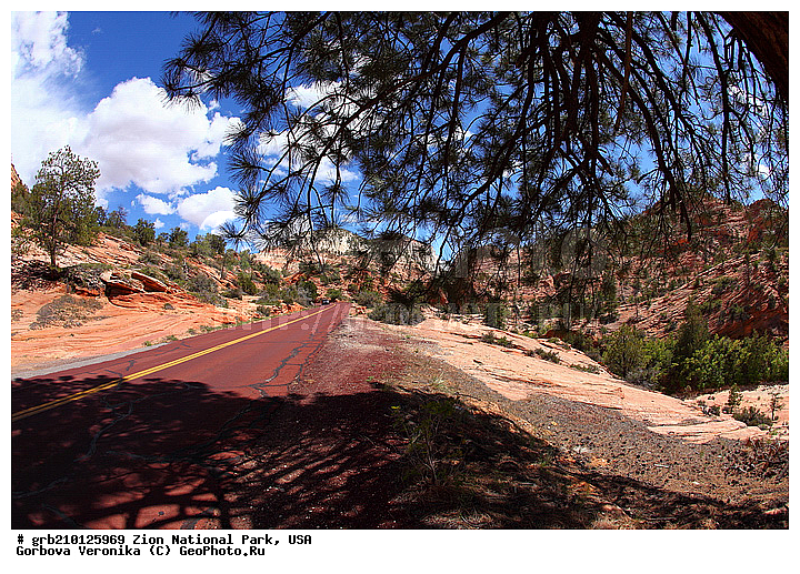 ������������ ���� �����, ���, ���