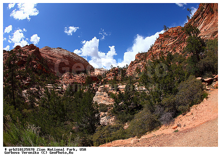 ������������ ���� �����, ���, ���