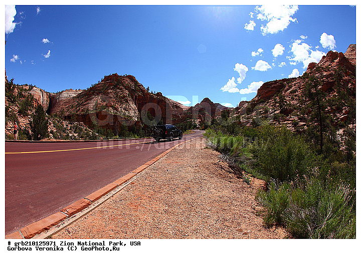 ������������ ���� �����, ���, ���