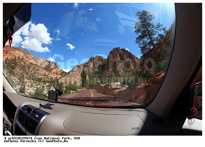 ������������ ���� �����, ���, ���