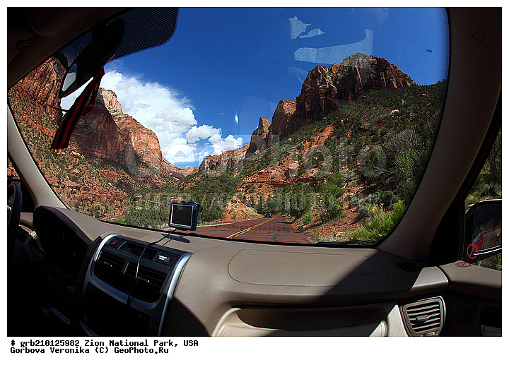 ������������ ���� �����, ���, ���