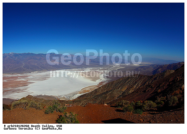 �������, ������ ������, ������������ ����, ���, ������������� �����