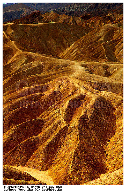 �������, ������ ������, ������������ ����, ���, ���������, �����, ������������� �����