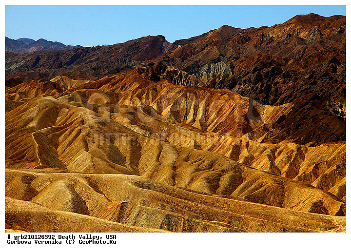 �������, ������ ������, ������������ ����, ���, ���������, �����, ������������� �����