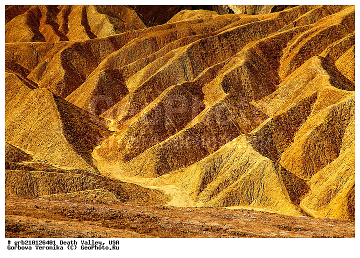 �������, ������ ������, ������������ ����, ���, ���������, �����, ������������� �����