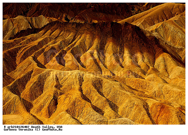 �������, ������ ������, ������������ ����, ���, ���������, �����, ������������� �����