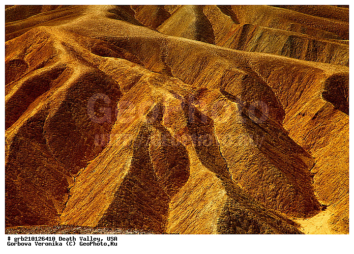 �������, ������ ������, ������������ ����, ���, ���������, �����, ������������� �����