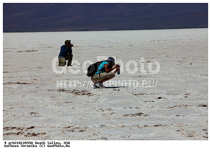 �������, ������ ������, ������������ ����, ���, ������������� �����