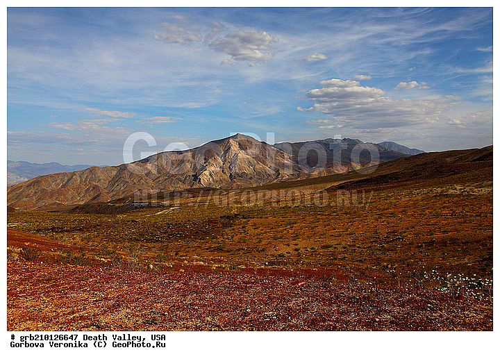 �������, ������ ������, ������������ ����, ���, ������������� �����