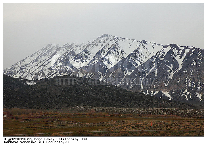 ����������, ����� ����