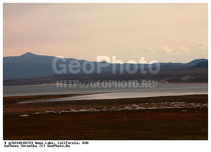 ����������, ����� ����