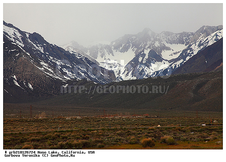 ����������, ����� ����