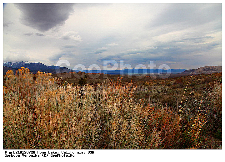 ����������, ����� ����