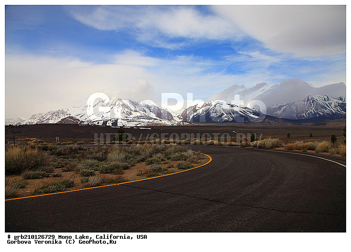 ����������, ����� ����