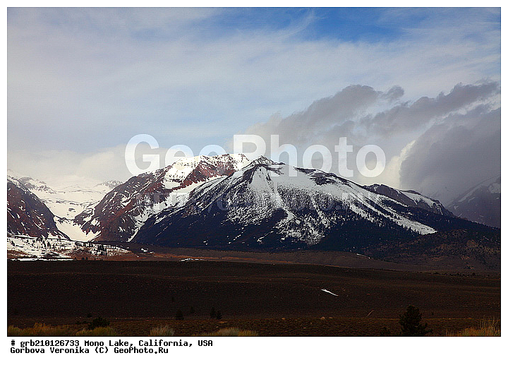 ����������, ����� ����