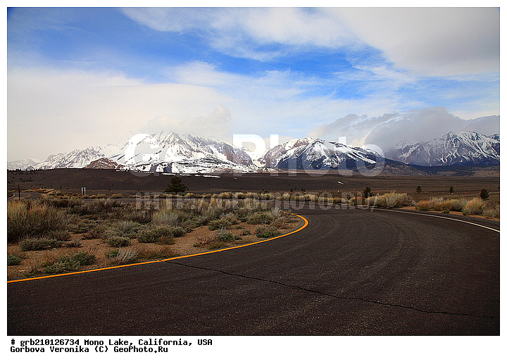 ����������, ����� ����