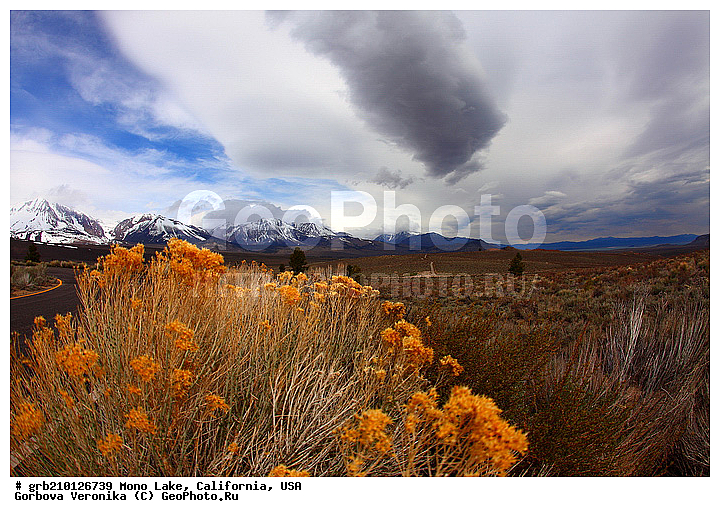 ����������, ����� ����