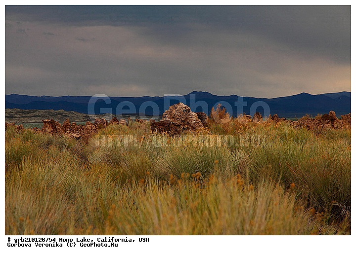 ����������, ����� ����