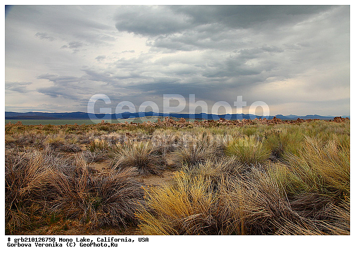 ����������, ����� ����