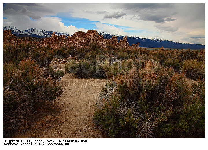 ����������, ����� ����