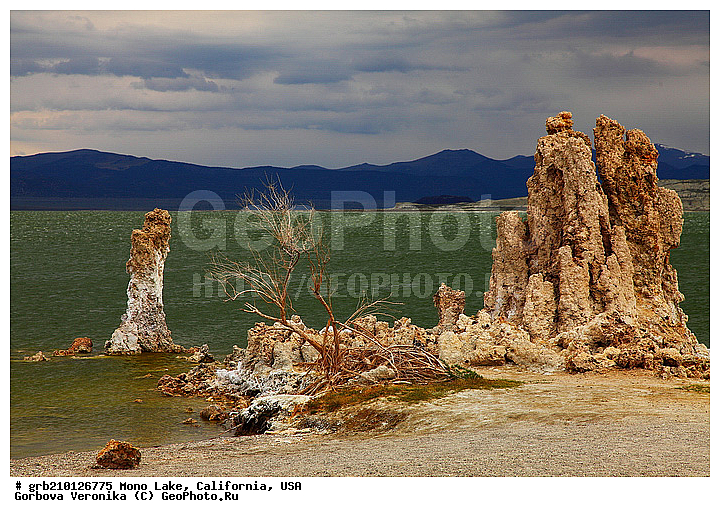 ����������, ����� ����