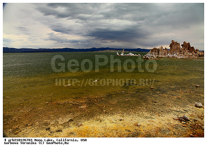 ����������, ����� ����