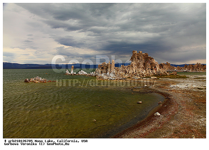 ����������, ����� ����