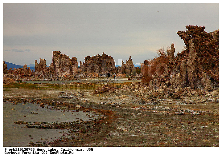 ����������, ����� ����