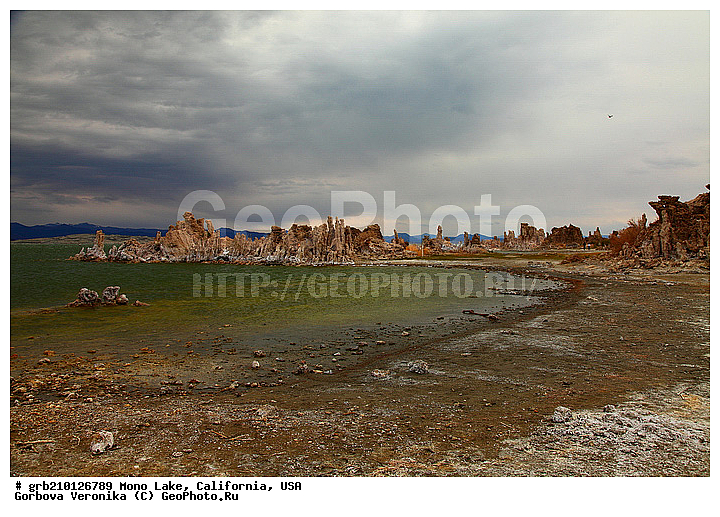 ����������, ����� ����