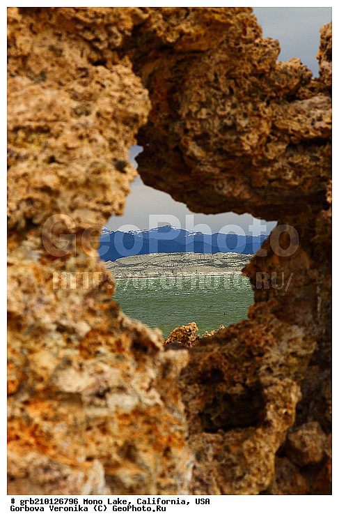 ����������, ����� ����