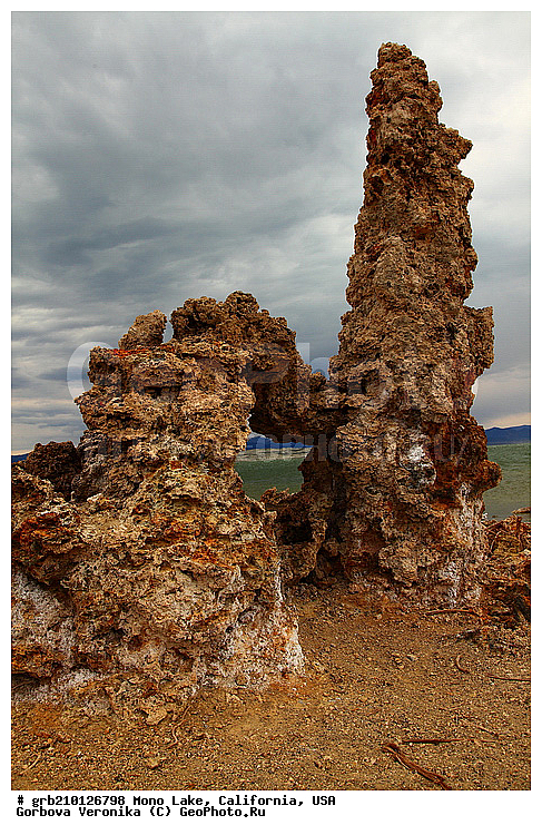 ����������, ����� ����