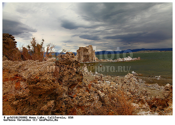 ����������, ����� ����