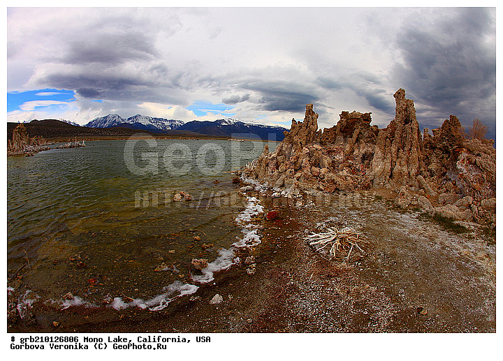 ����������, ����� ����