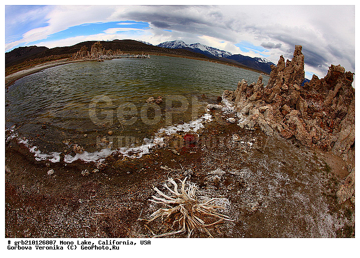 ����������, ����� ����