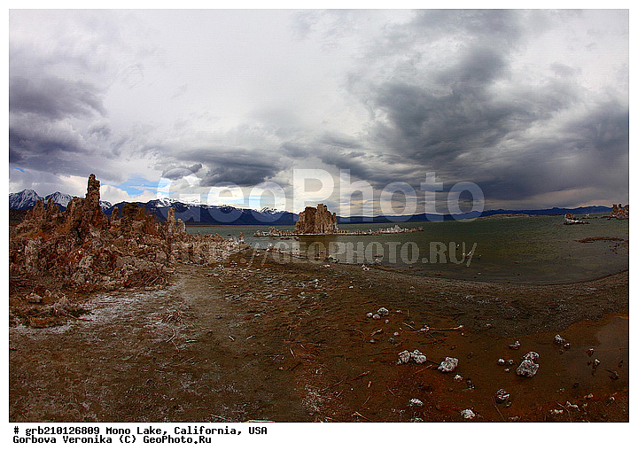 ����������, ����� ����