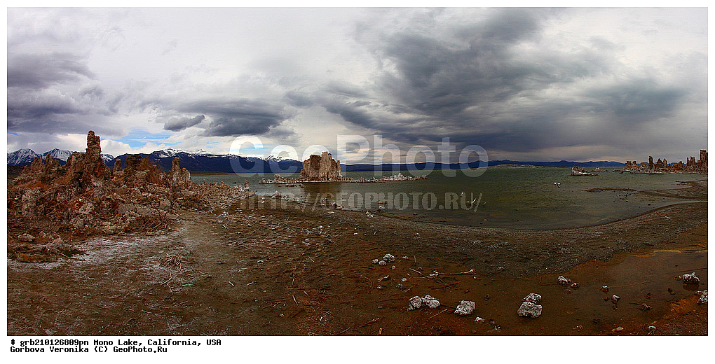 ����������, ����� ����